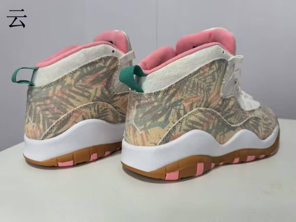 Air Jordan 10