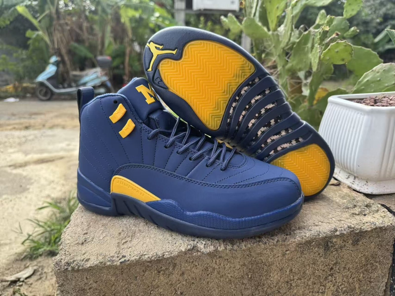 Currency Air Jordan12 new color sizes 40-47 shipped - Image 1