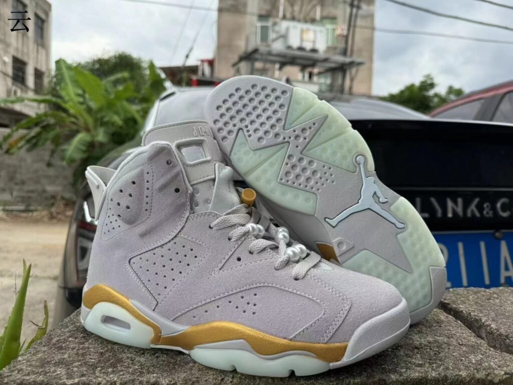 Air Jordan6